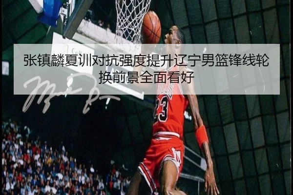 张镇麟夏训对抗强度提升辽宁男篮锋线轮换前景全面看好